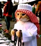 Halal 4 Life