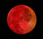 Red Moon Enterprises