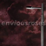 enviousroses