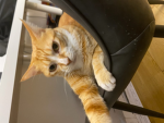 #catsqaudforever