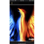 Lightning Phoenix Clan