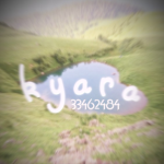 ૪ kyara