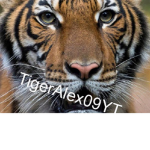 TigerAlex09Yt Fan club