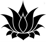 Ash lotus