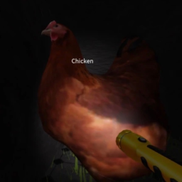 The Chicken