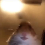 NewytkidsOffcal