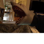 My Shark Puppet