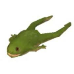 bort frog