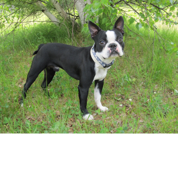 SuperHero Tycoon!!!!!