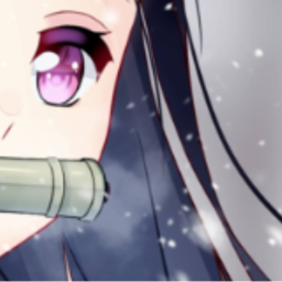 𝑼