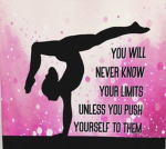 Skylights gymnastics academy