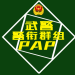 〖PAP〗中国人民武装警察部队警衔群组