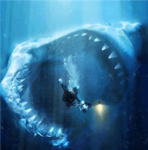 Shark attacks