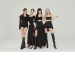 Blink the Blackpink Fandom