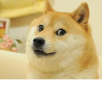 Doge Service