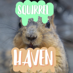 xIXIsquirrel havenIXIx