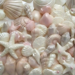 ꒰ 🥥 ꒱ؘ ࿐ ࿔*:･ﾟ