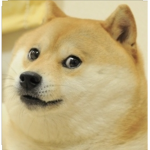 TEAM DOGE!!!!!!!!