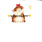 Guinea Pig paq