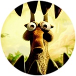 Acorn