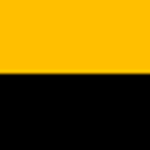 - Queen Alexandra's Mounted Rifles -