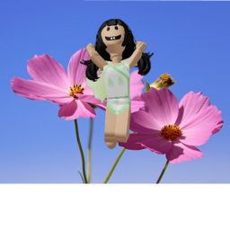 تجمع سيده فراشه