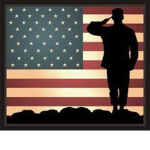 U.S Military Branches