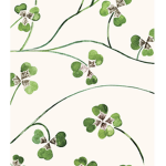-clovers-