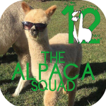 The Alpaca Sqaud