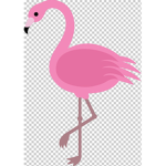 Flamingos_united No cats