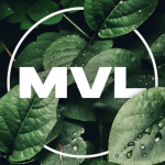 MVSD Vision League
