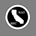 NSS || National Security Service