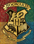 The Hogawrts Students