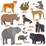 SAVE THE WILD LIFE!