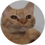 Game Pass Icon
