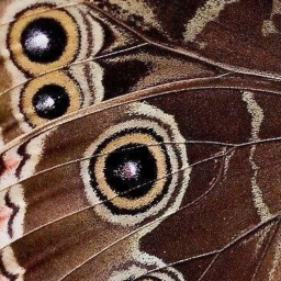 ❀