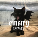 cinstry