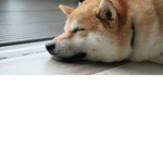 The Sly Doge Mafia