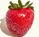 STRAWBERRYQUEENS
