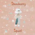 • sᴛʀᴀᴡʙᴇʀʀʏ sǫᴜᴀᴅ •