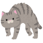 キツネちゃんのグループ