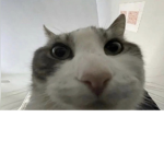 -+=-Friend Group-+=-