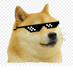 MEME GANG!!!!