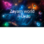 Zayam world fans