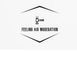Feeling Air Moderation Team