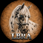 Wildfire Riding Academy