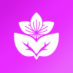.Orchid Customs