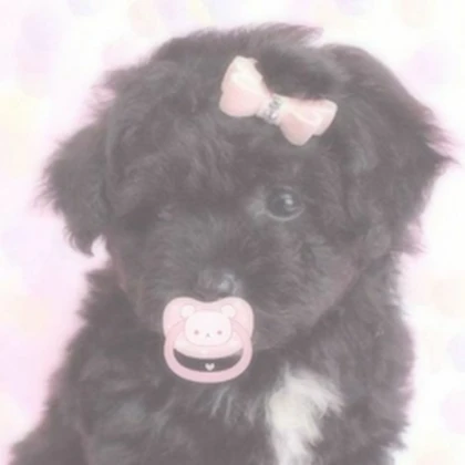 lovepup Roblox group icon