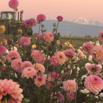 Floral Blush