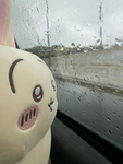 hello :D ____________